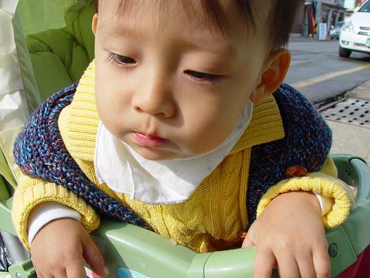 요즘 태민이는 처음 보는 것이면 무조건 가던 발걸음도 멈추고 신기한 듯 바라봅니다. 지금 무엇을 보고 저리도 궁금한 표정을 지을까요? 